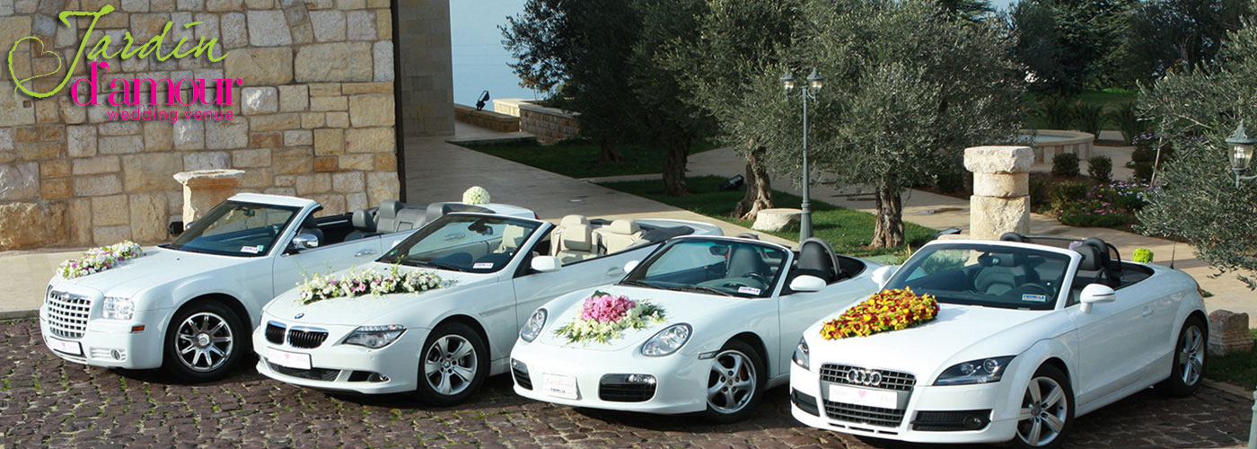 Romantic couple shot near waterfalls and lush greenery